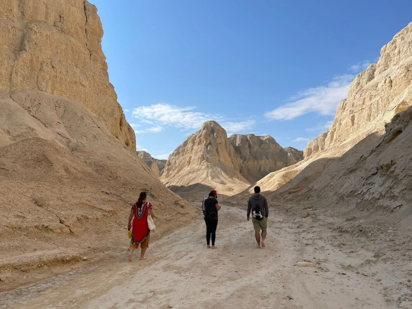 Belfer's Dead Sea cabins- Apartments