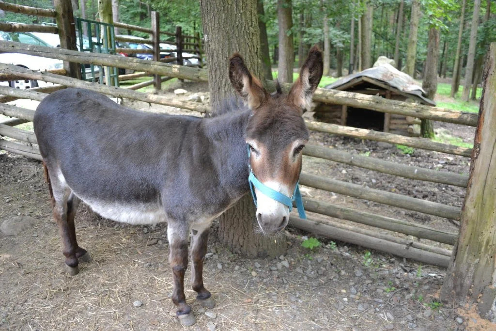 Freizeitzentrum Römerhütte