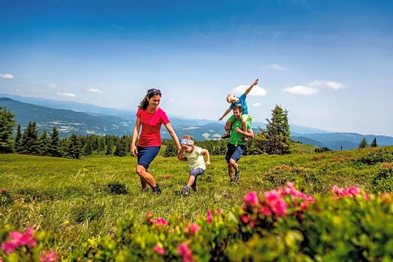 Berggasthof Schwengerer