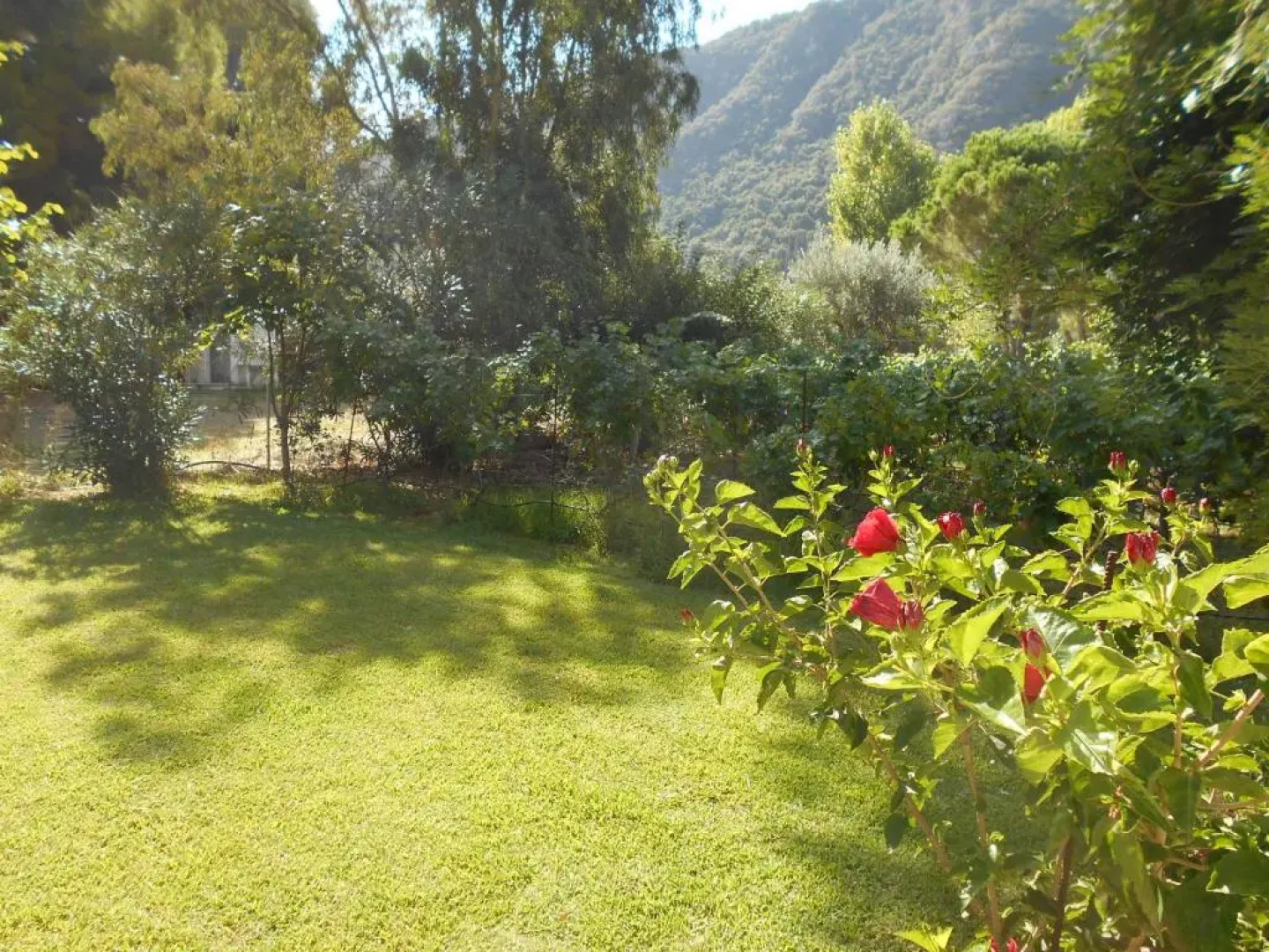 Brunello Seaside Apartments