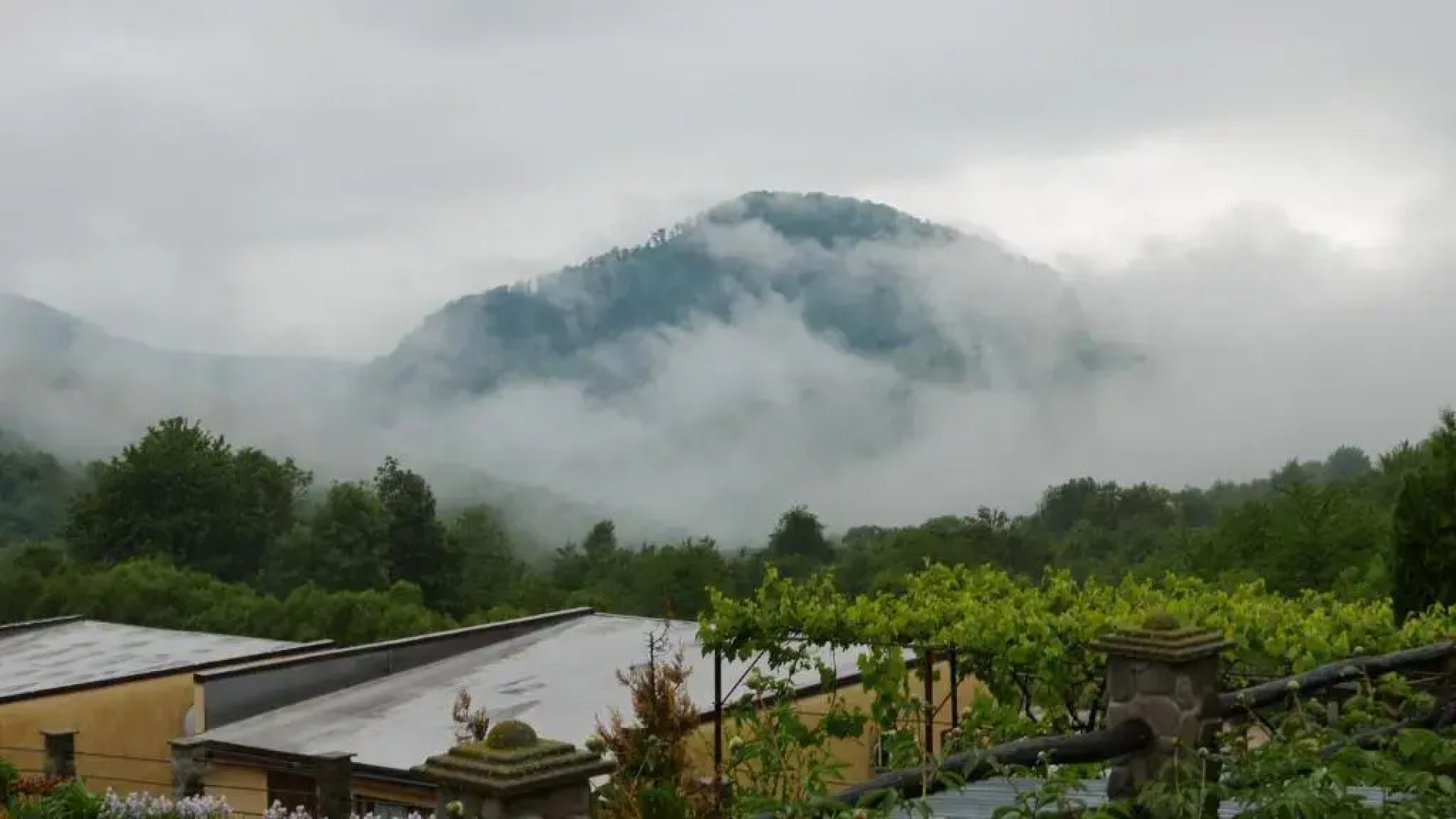 West Wood ApartHotel