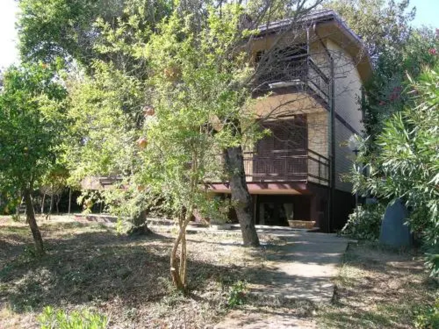 Apartment Welcome to Campolongo