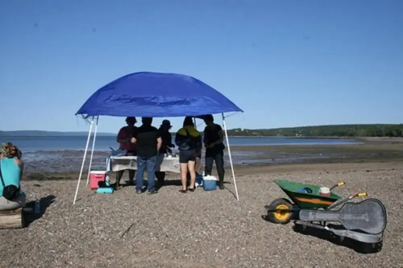 Gullivers Cove Oceanview Cottages