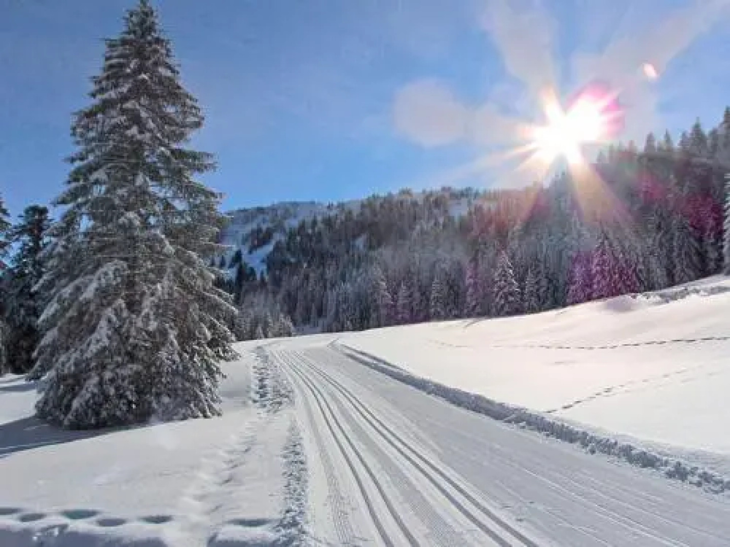 Apartment Hottenroth.1