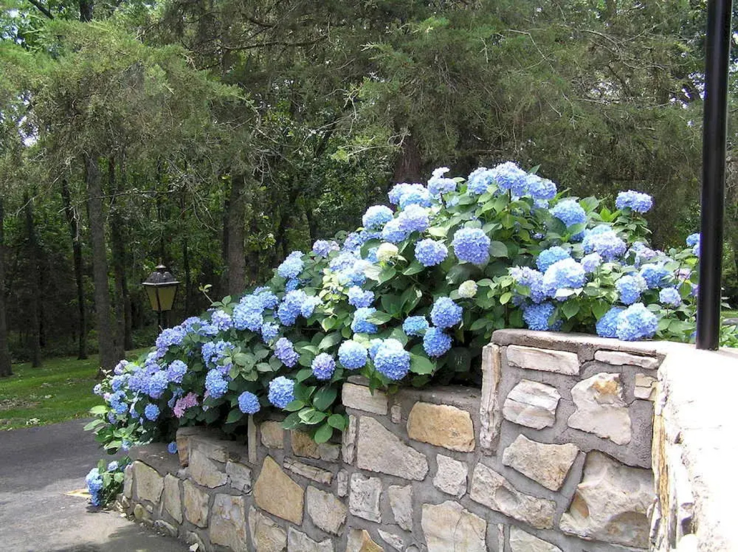 The Golden Door Motel