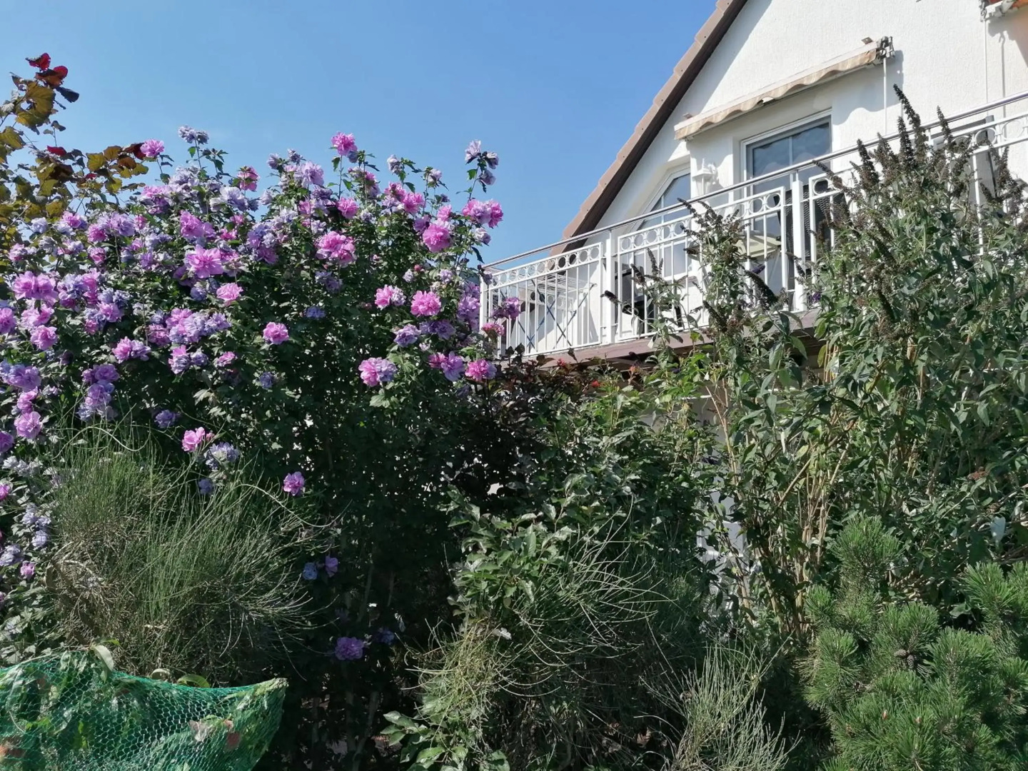 Pension Haus Anneliese