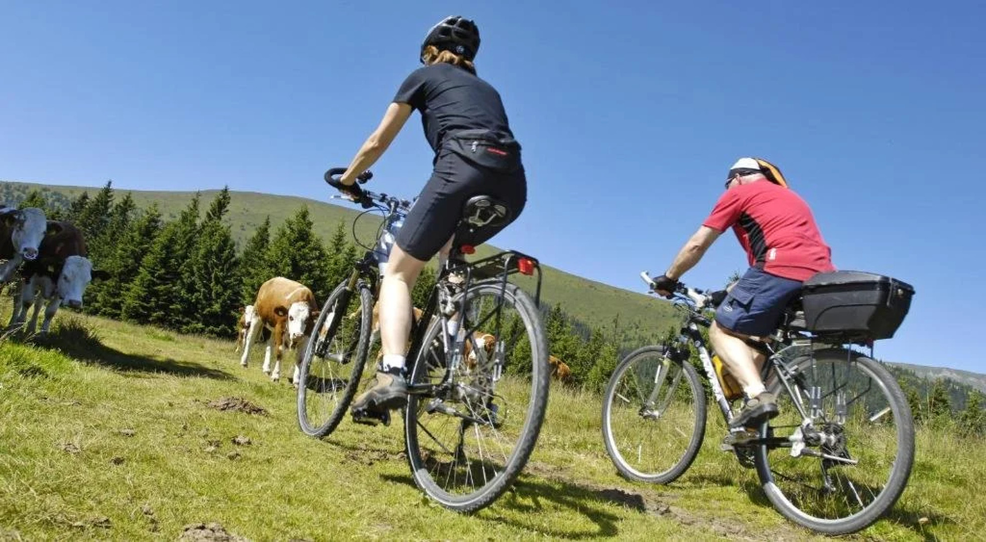 Alpengasthof Salzstiegelhaus