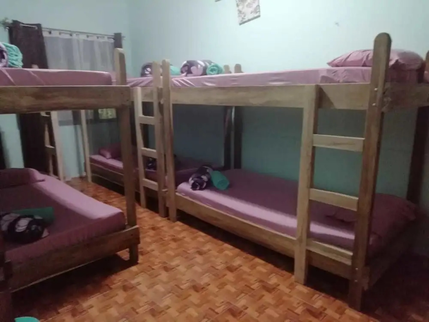 Blue Morpho - Hostel