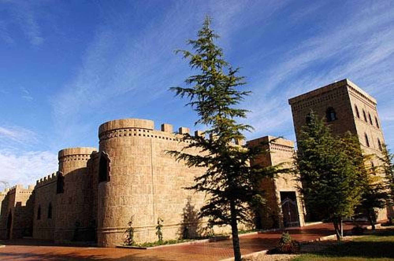 Hotel Viñedos y Bodegas El Castillo