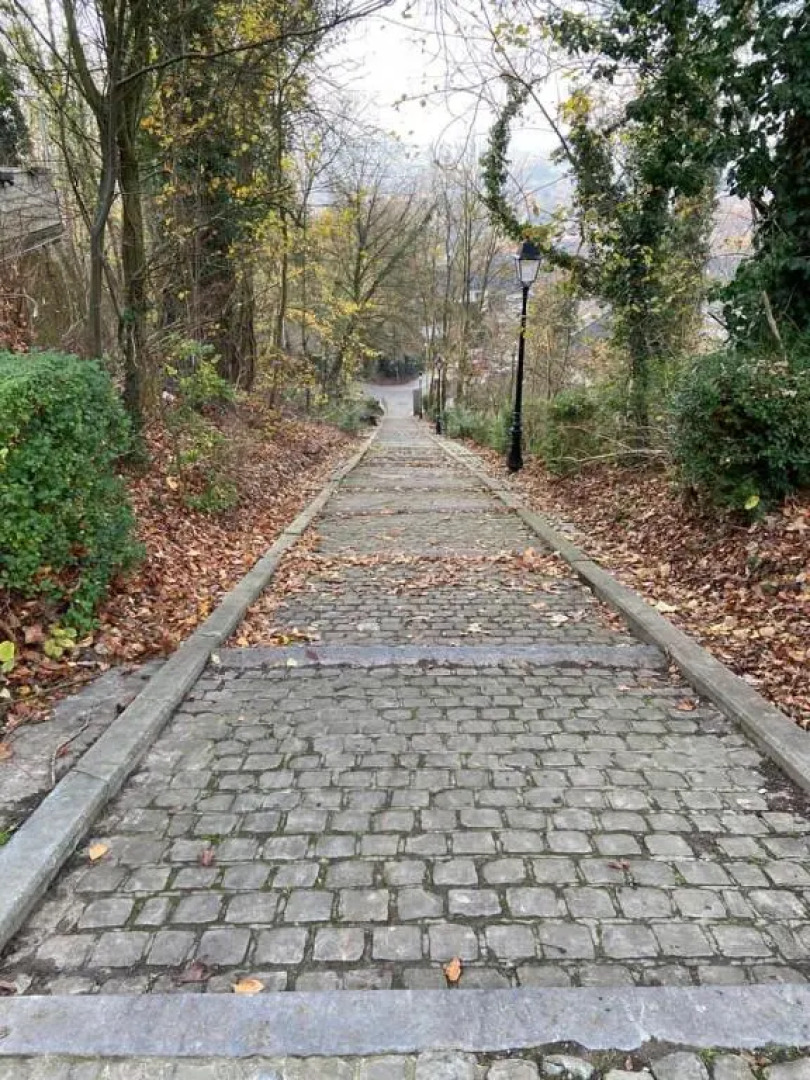 Vakantiewoning De Kassei Geraardsbergen max 12personen