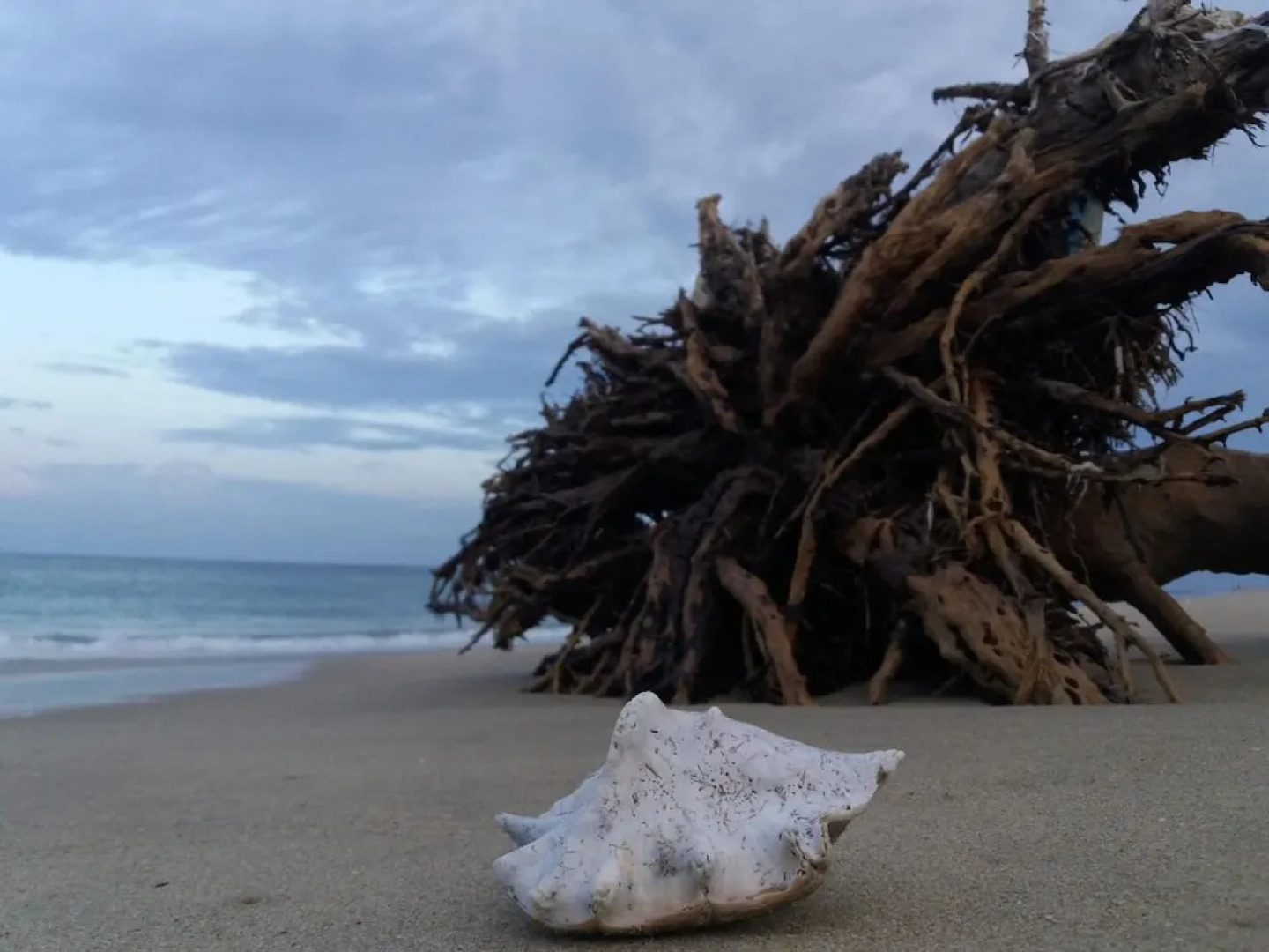 Heaven in Satin Woods Rekawa