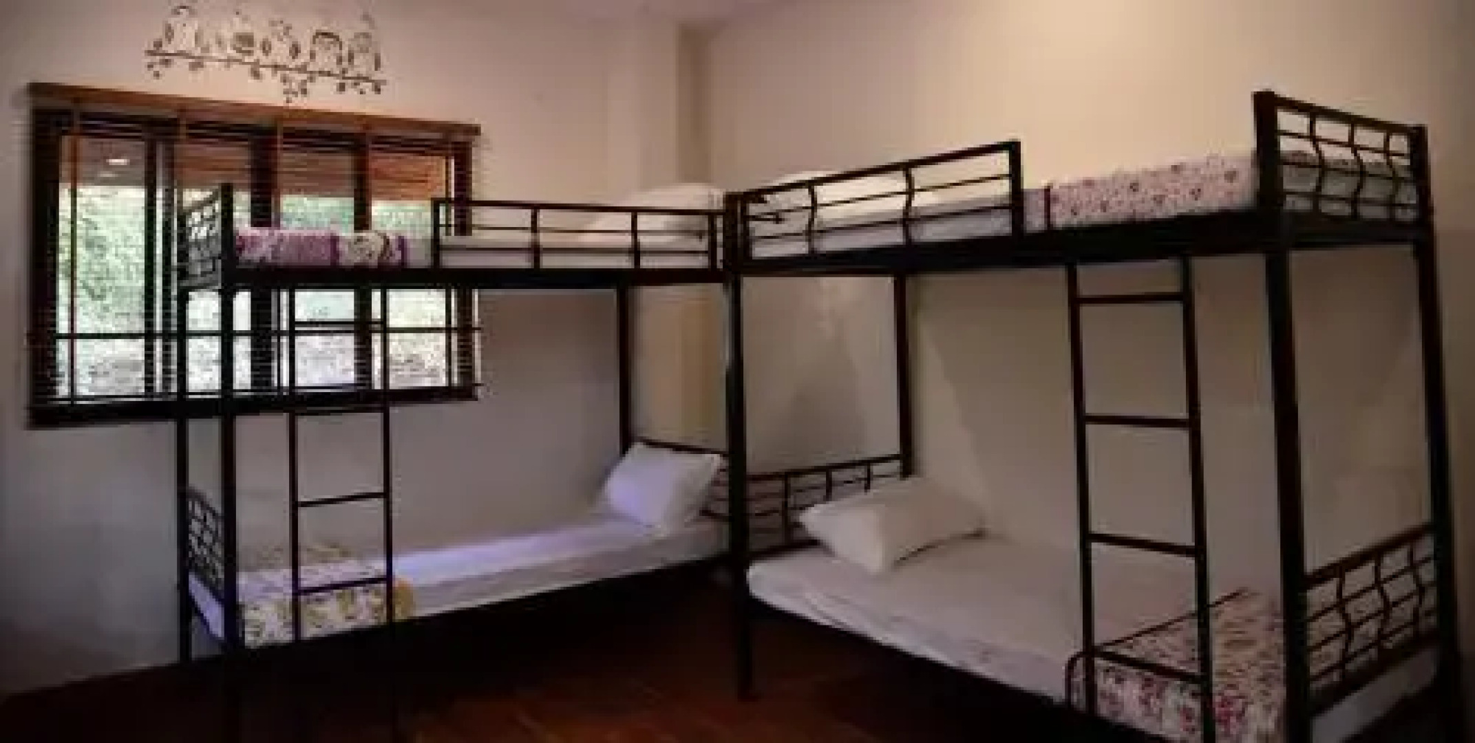 Jolly Poolside Hostel