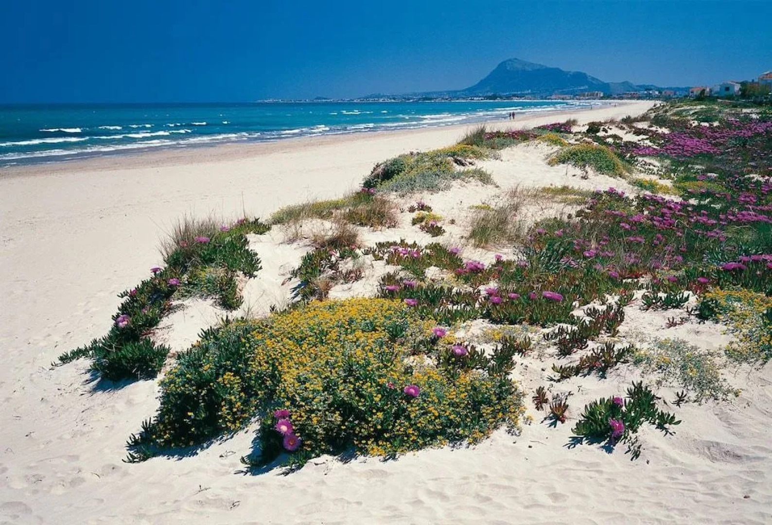 Dénia24 Apart & Hostel Beniarbeig