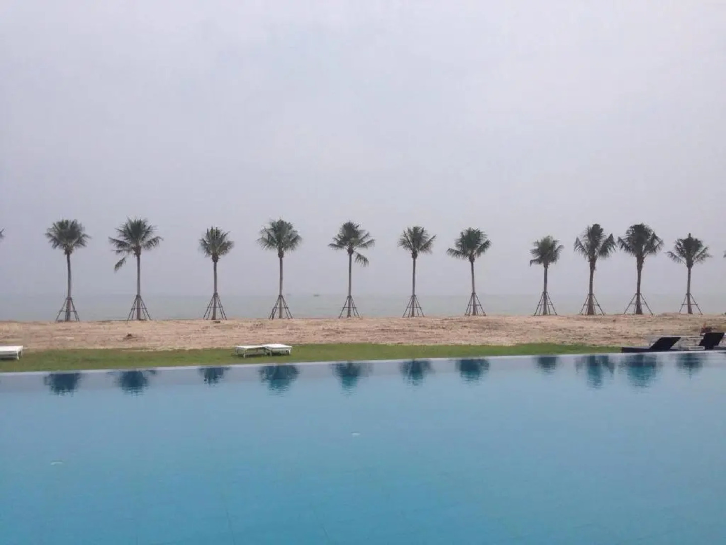 Hansar Cha am Casuarina