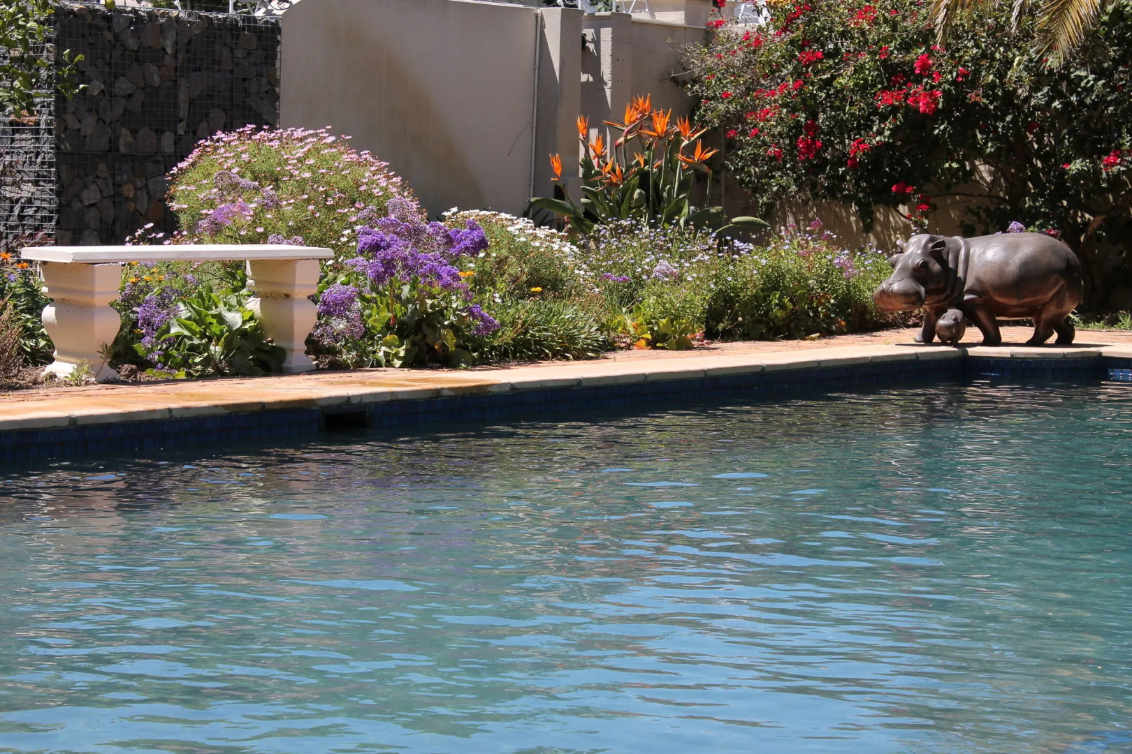 Guest house Stellendal