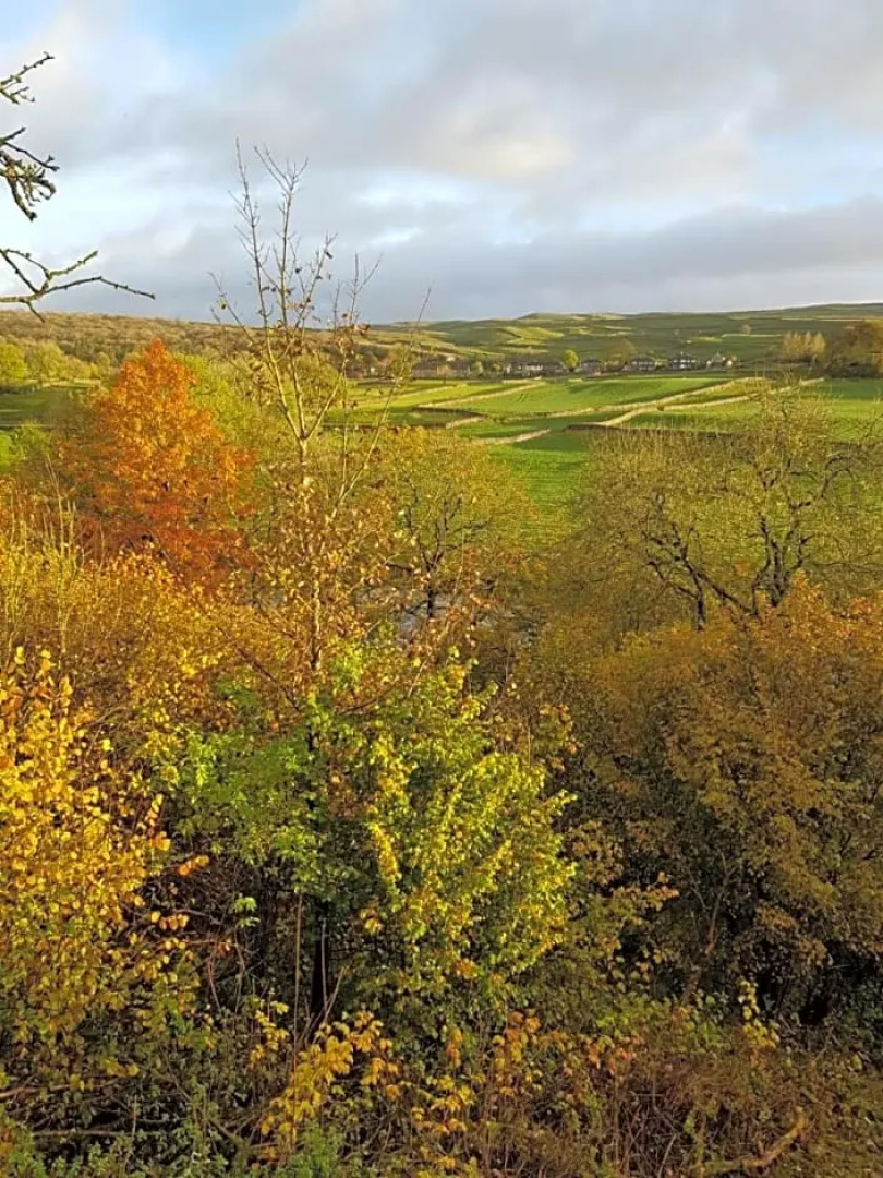 The Sett on the Wharfe (Adults Only)