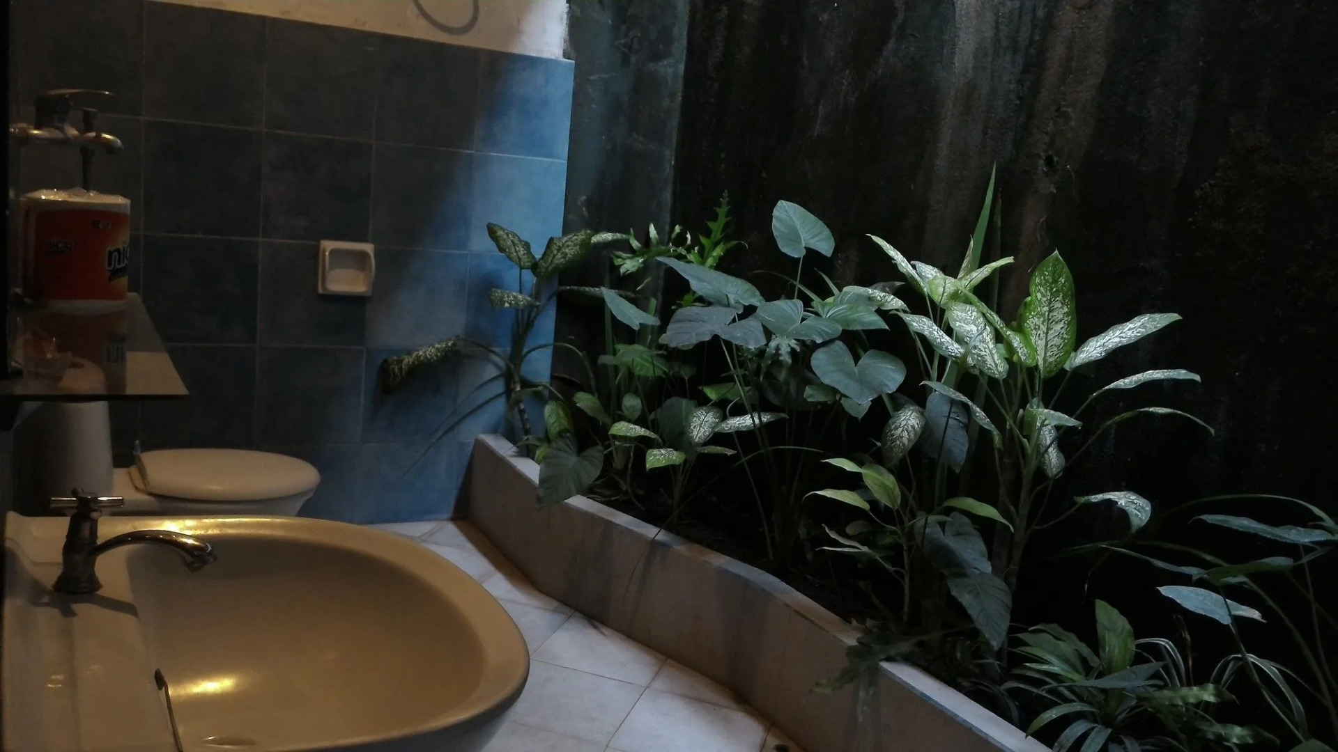 Amarta Beach Cottages