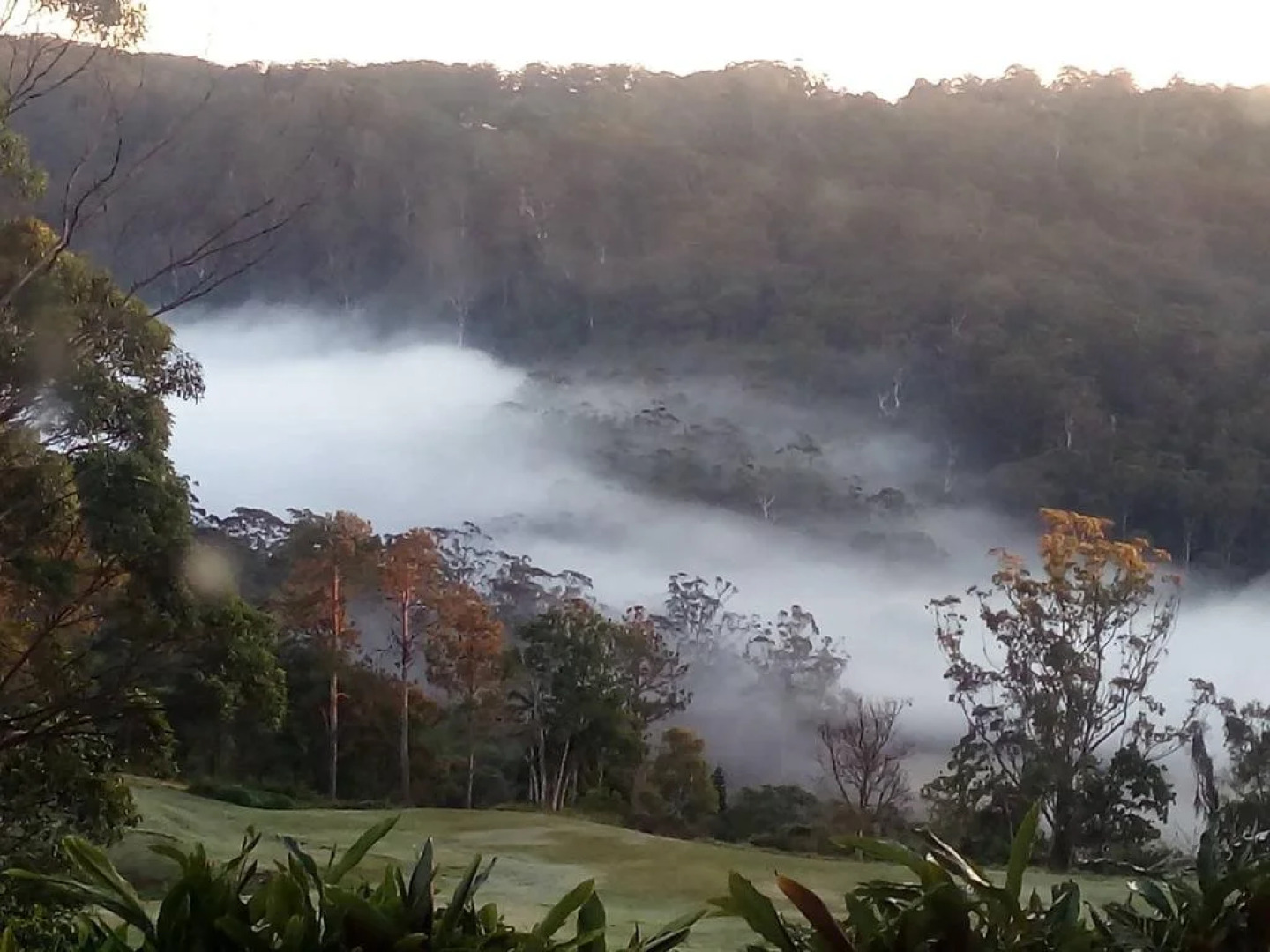 The Avenue at Montville Luxury Cottage