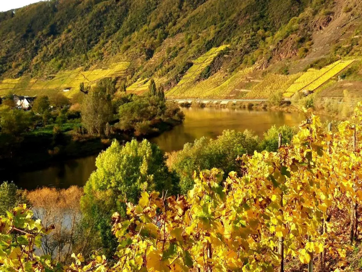 Ferienwohnung Ambiente II Und III