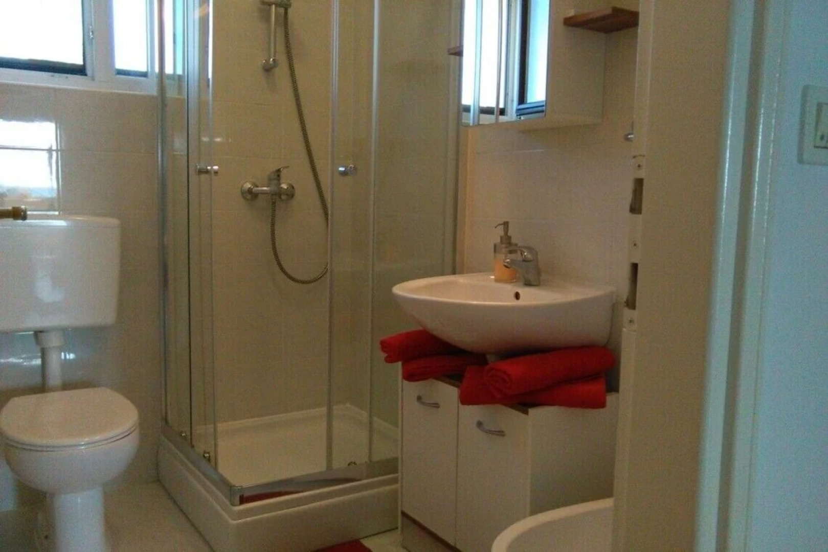 Two-bedroom apartment with sea view