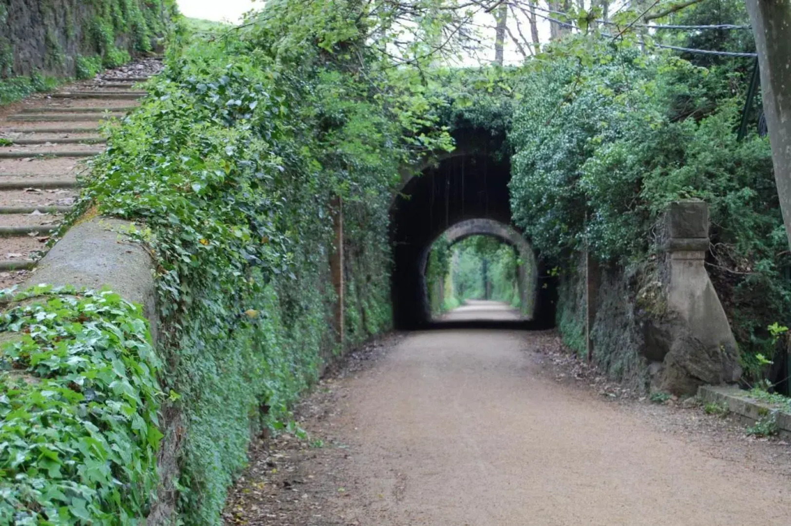 El Solell de l'àvia