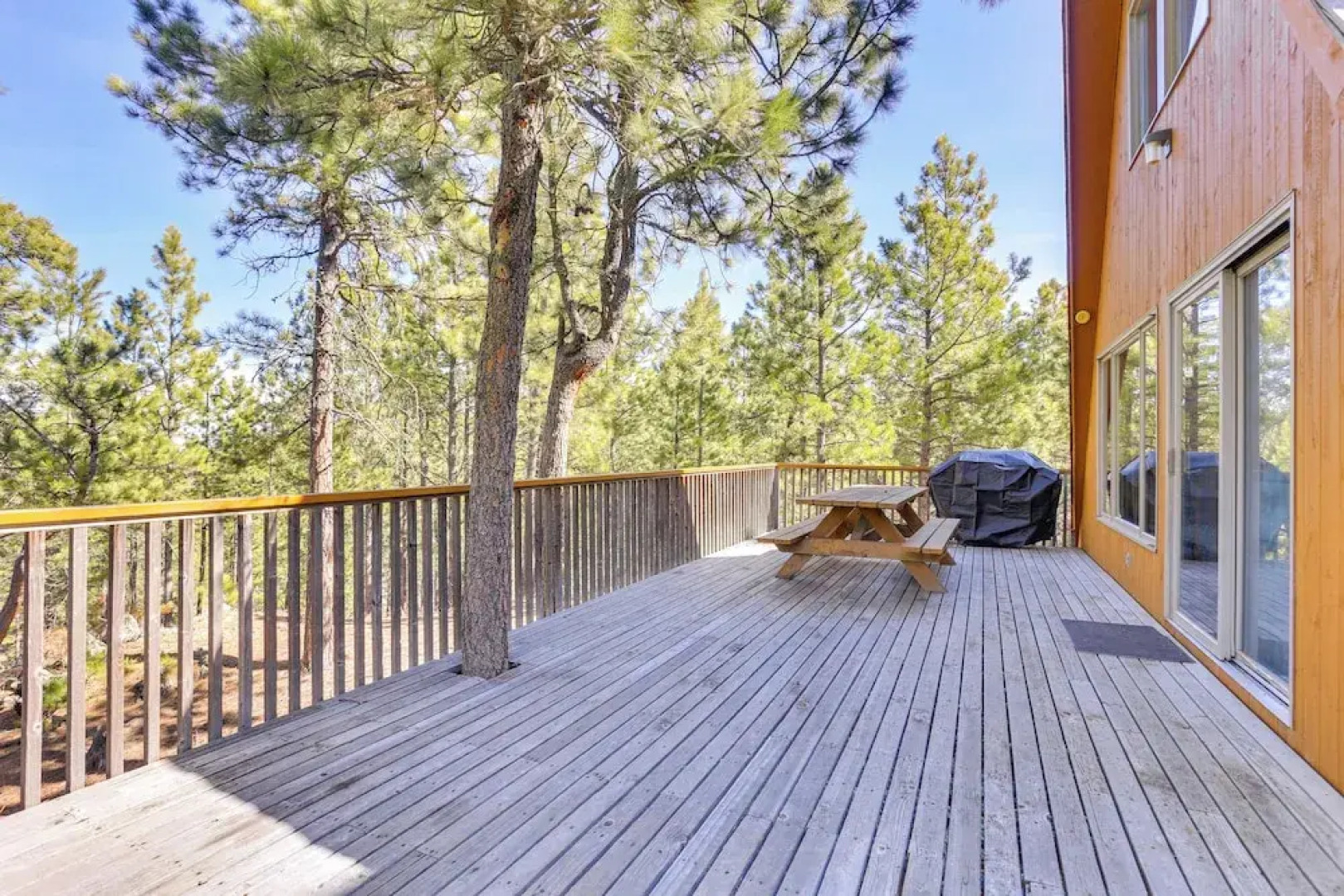 Cozy Black Hills Nature Retreat w/ Private Deck!