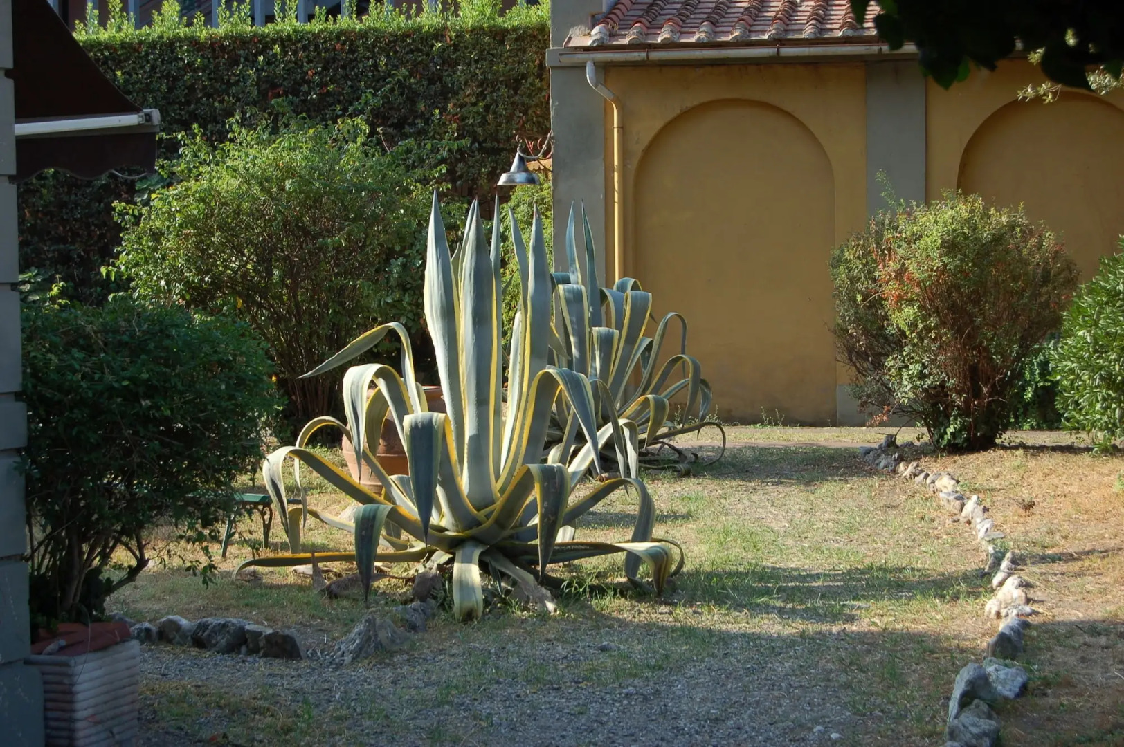 B&B Antica Piazza dei Miracoli