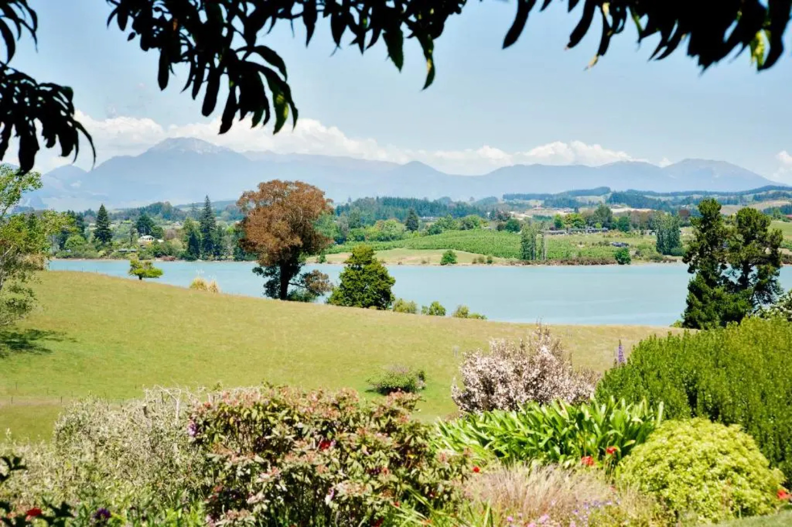 117 Higgs - Room With a View