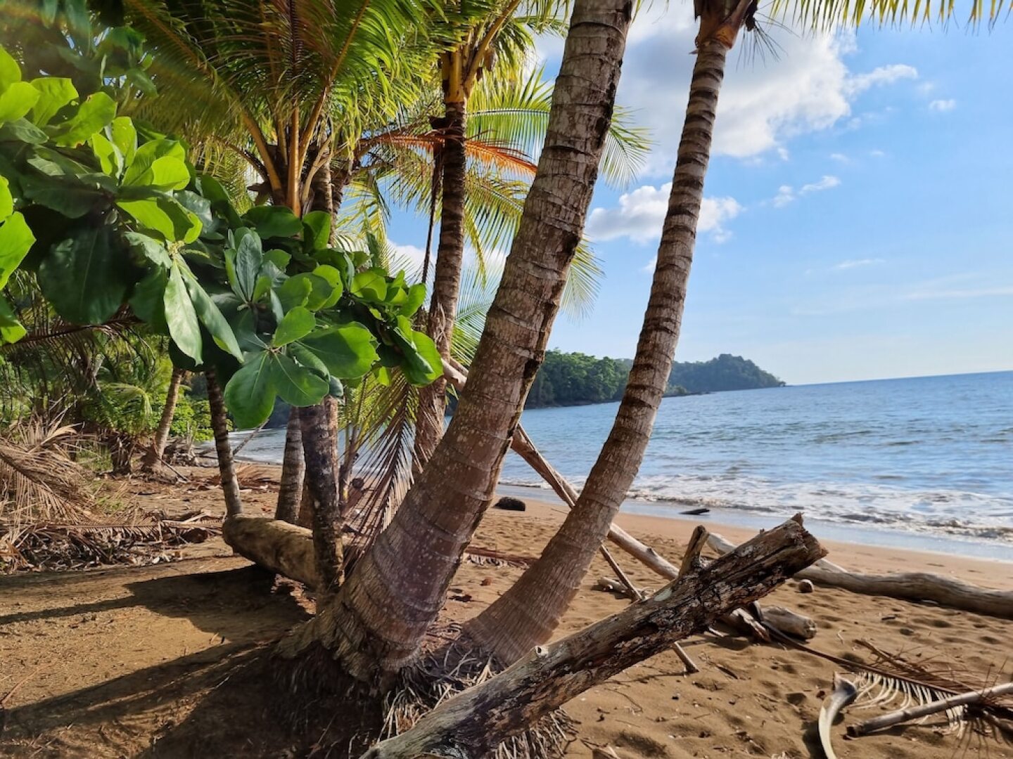 Cabinas Pura Vida Bed & Breakfast