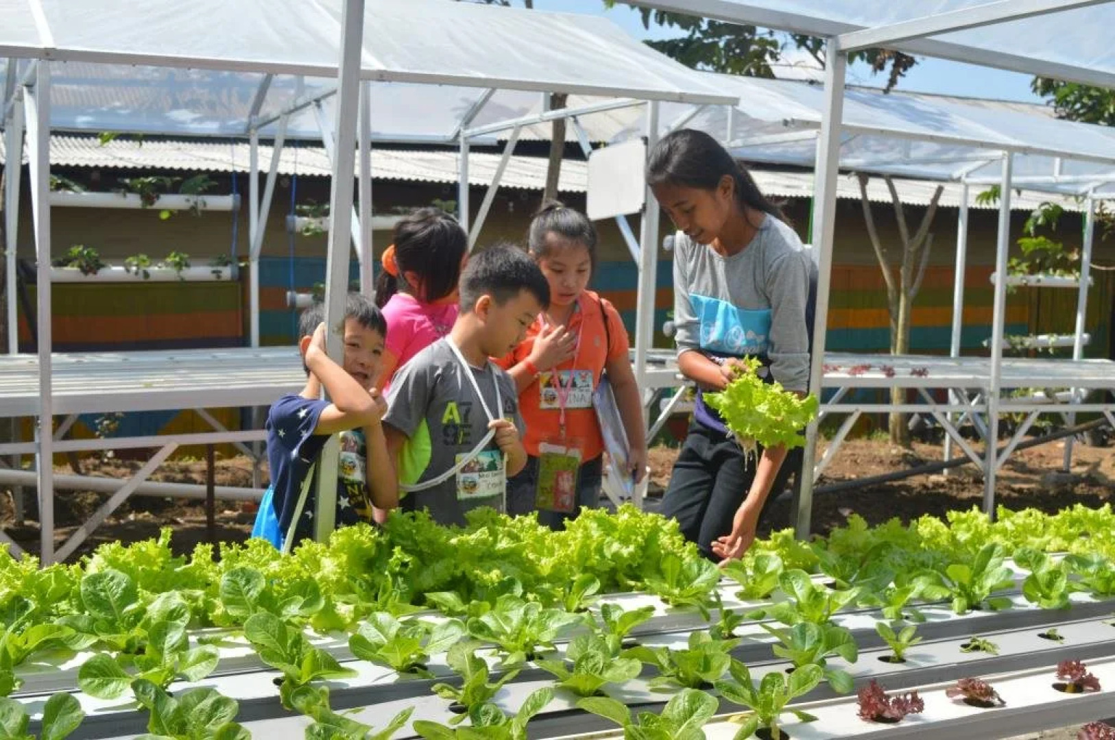 Transformer Center Hotel