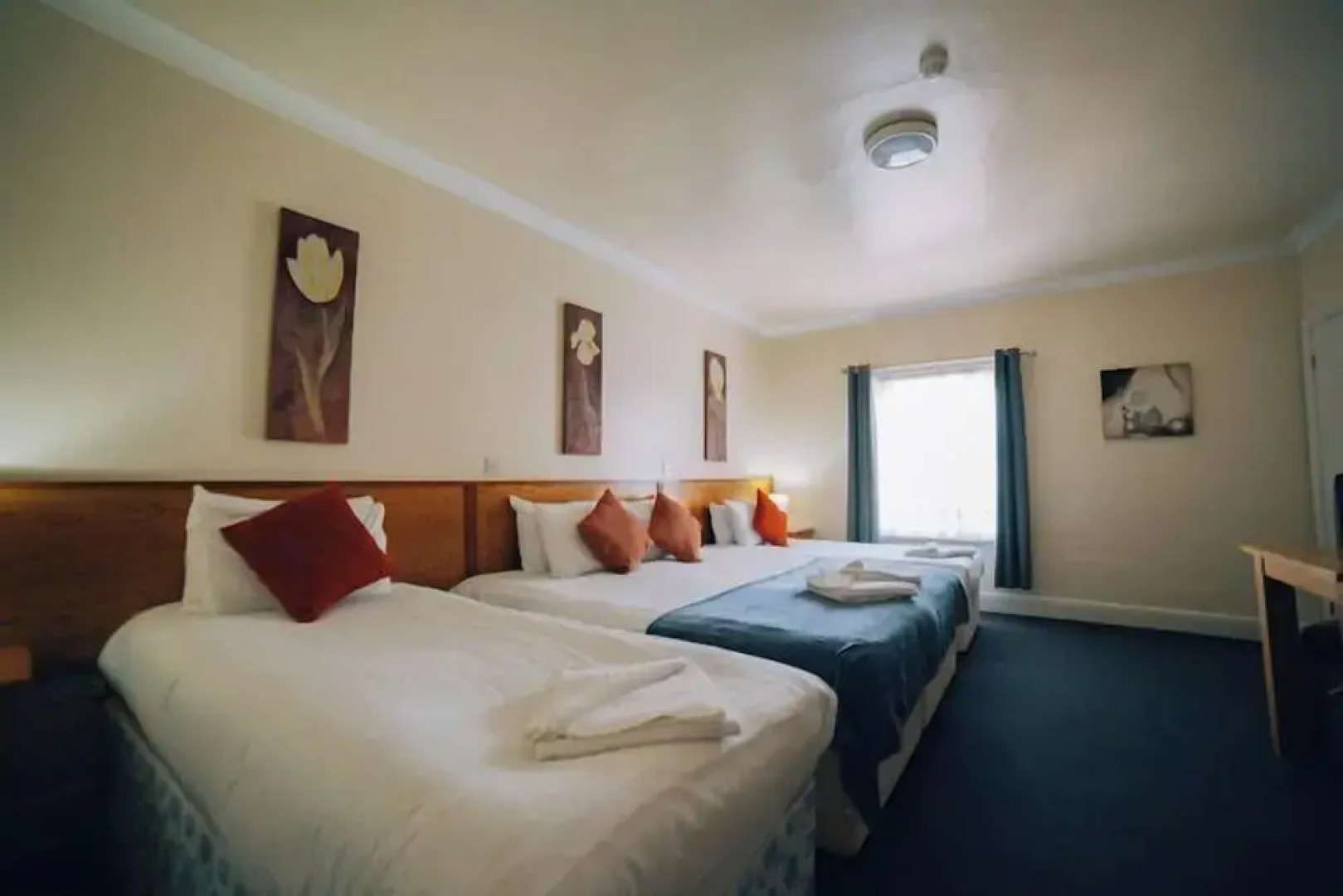 Rooms At 95 Long Street