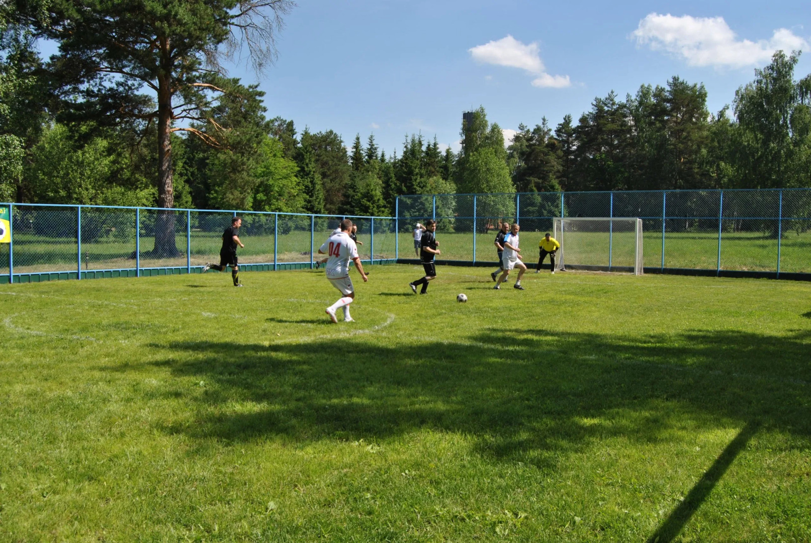 Подмосковье УДП РФ