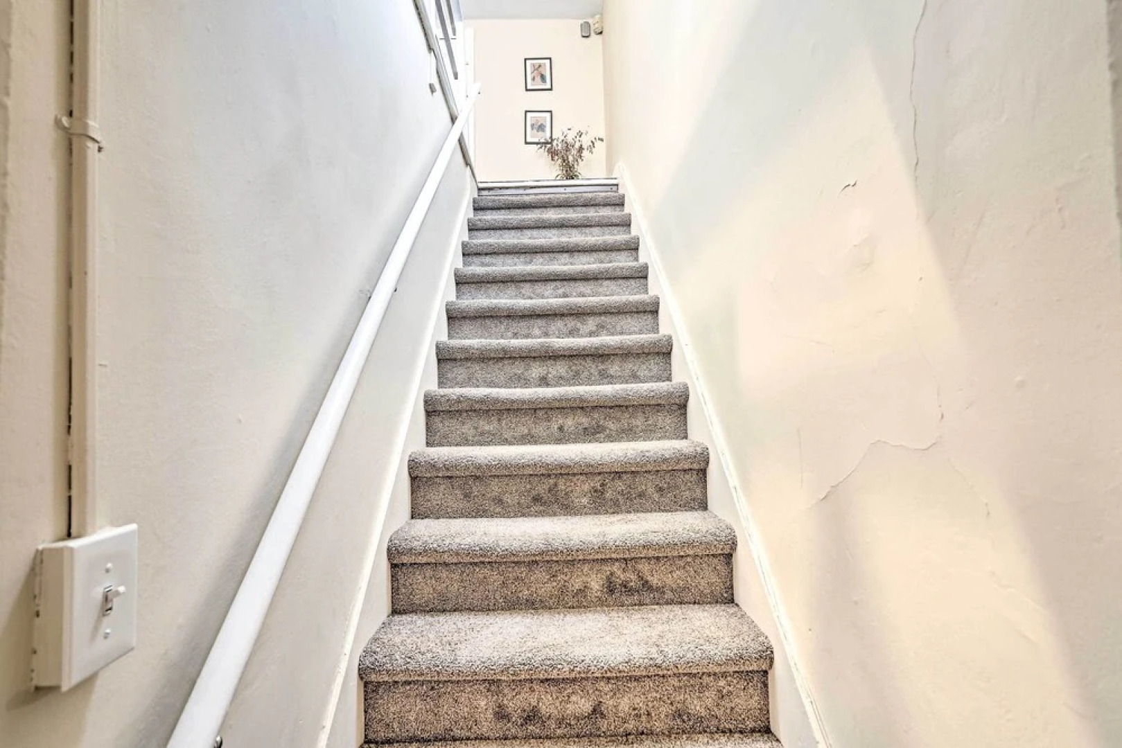 Pet-friendly Apt in 1850's Victorian Mansion!