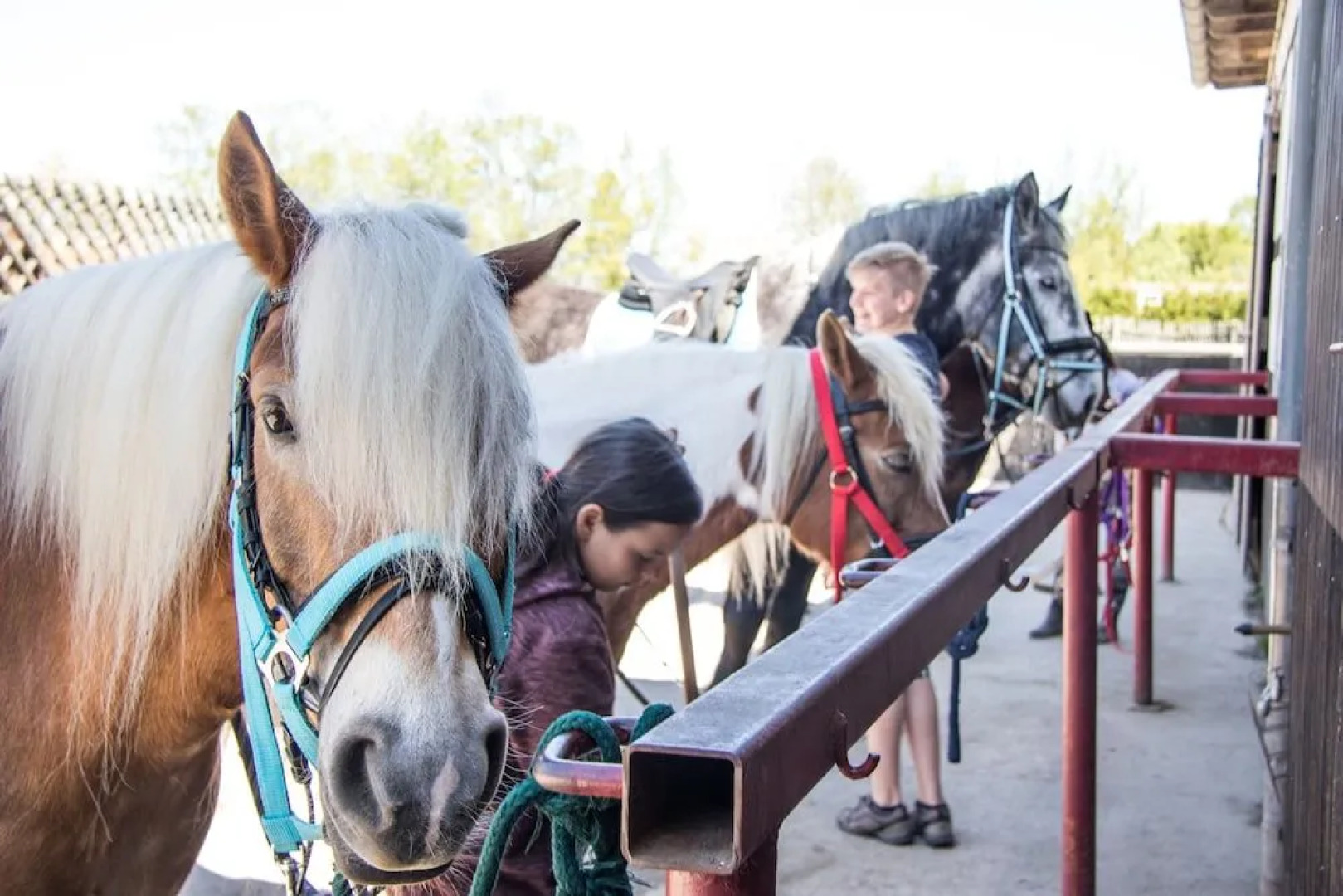Reiter- und Ferienhof Storchennest