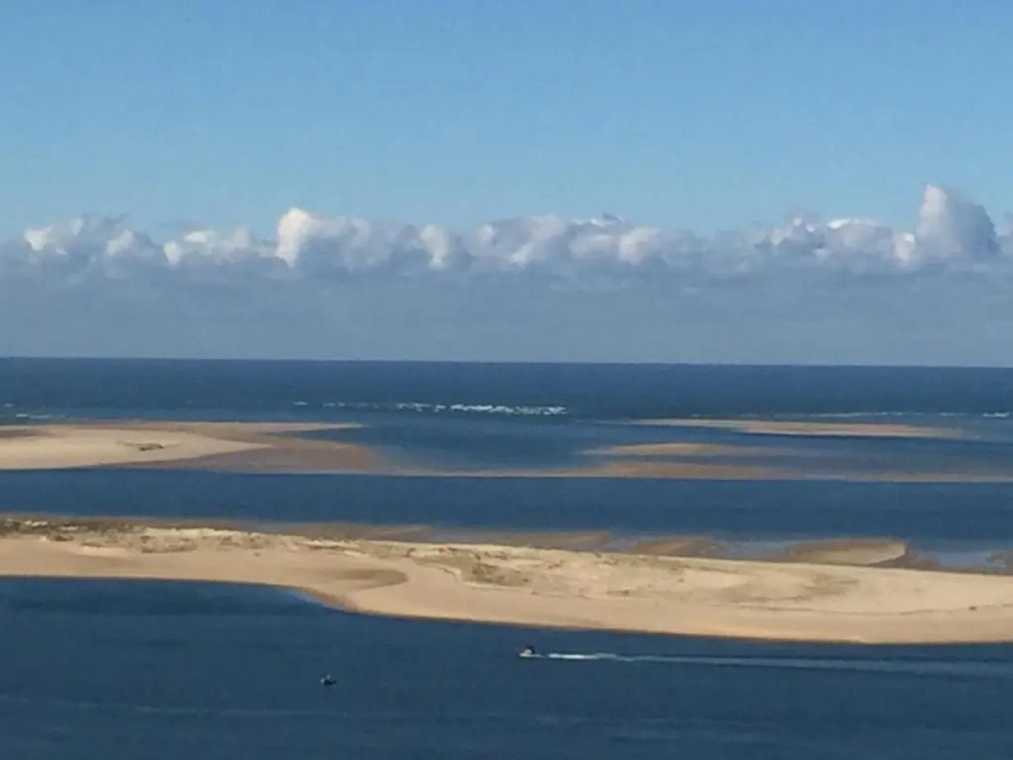 Les Hippocampes (Adults Only)