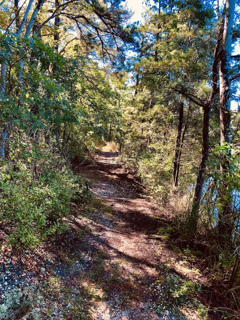 Swan Lake Resort Rentals