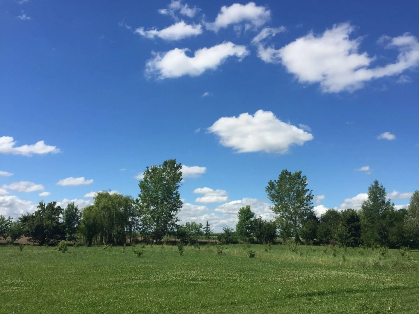 Apartment in Pontecchio With Pool & Tennis