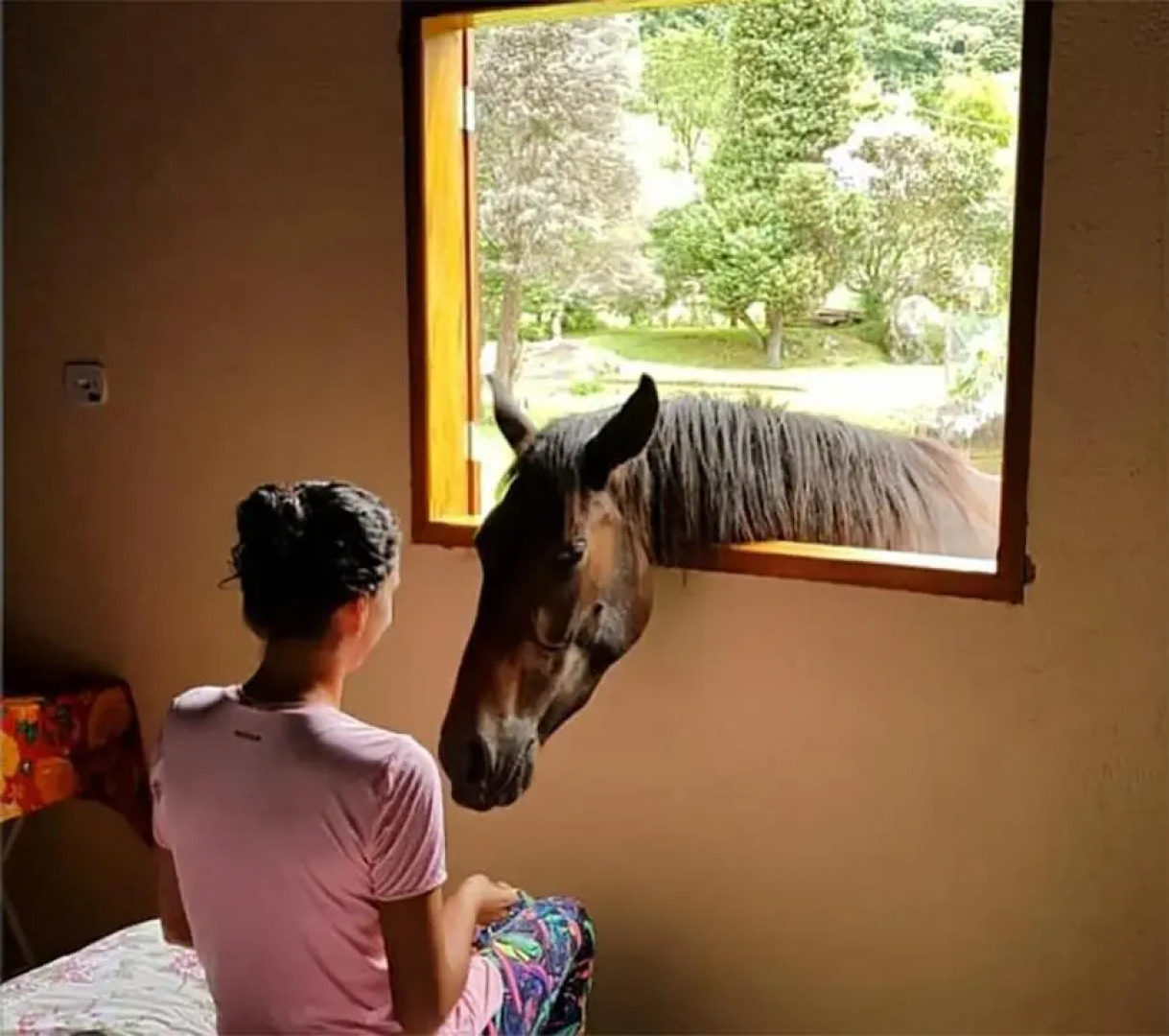 Hospedaria Vida na Roça