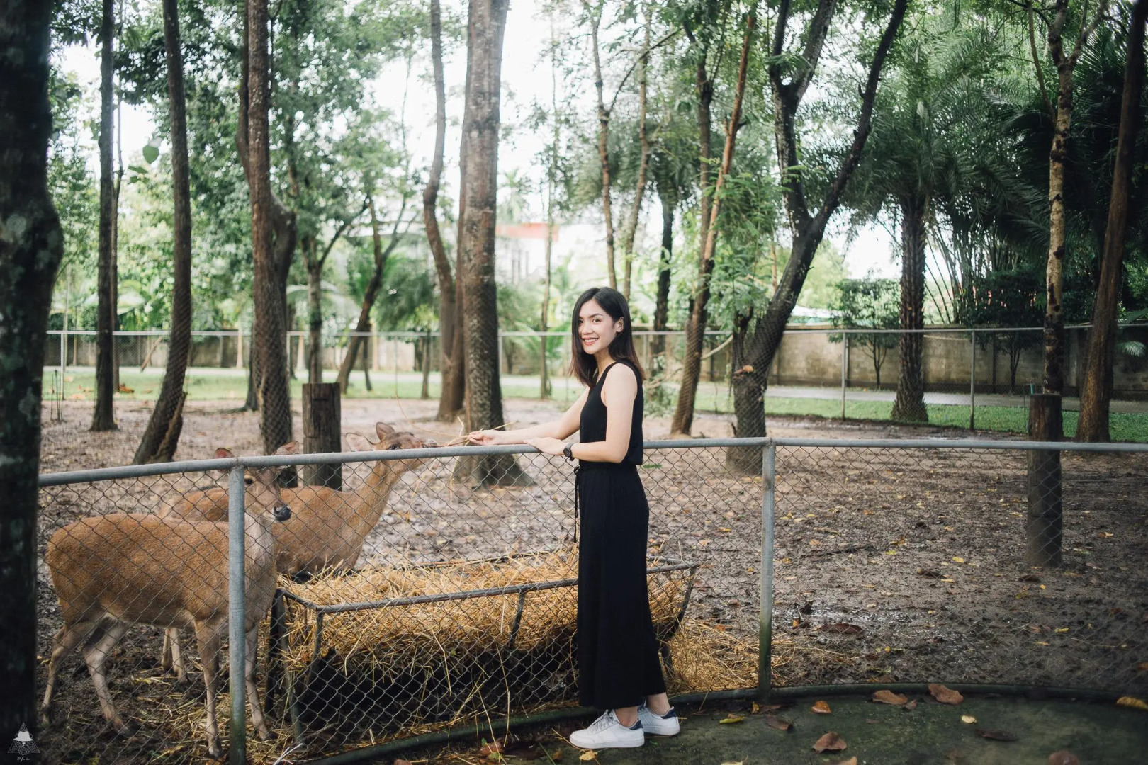 Horizon Village & Resort Chiangmai