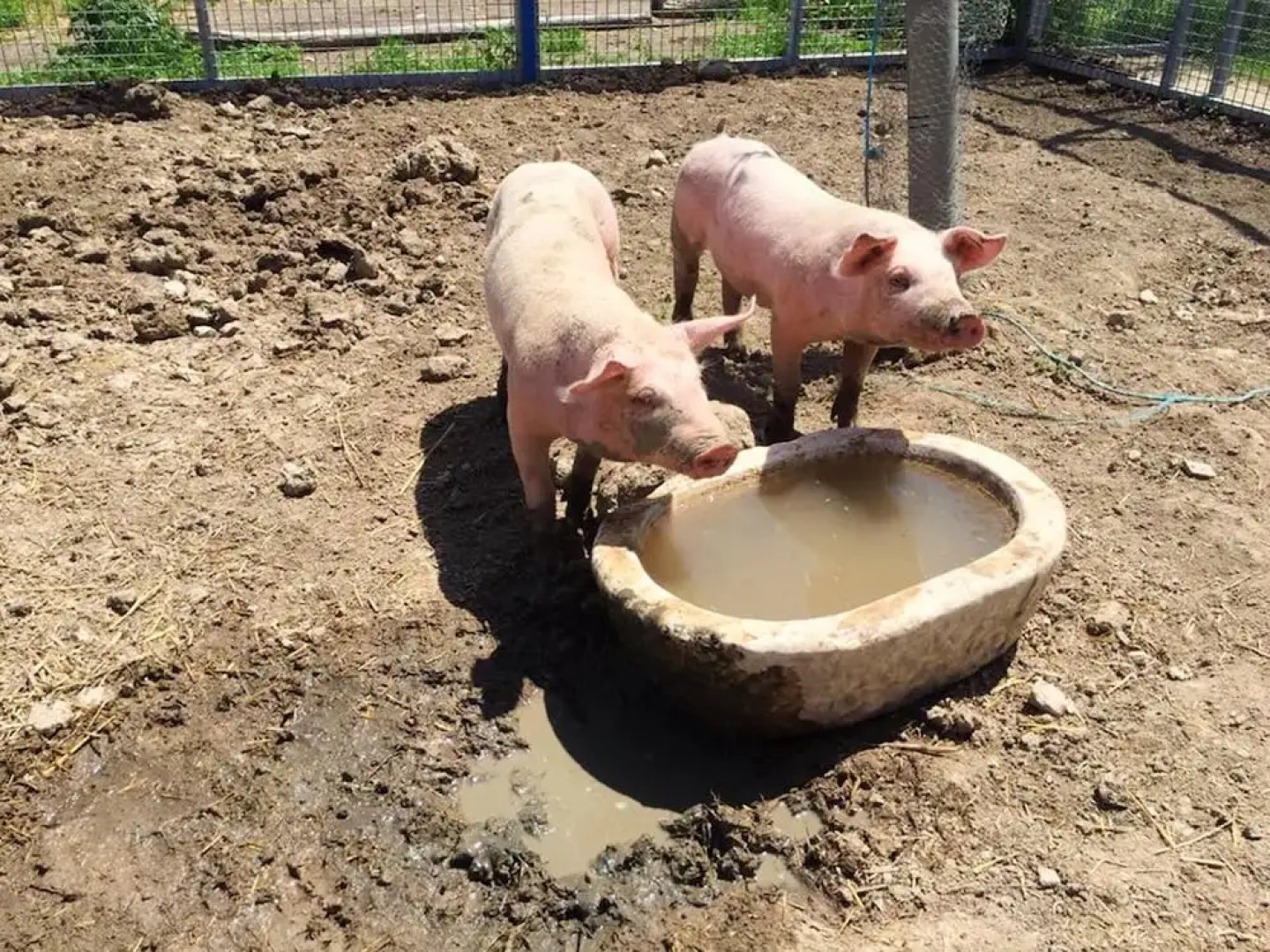 Chalet With 7 Bedrooms in Baza, With Wonderful Mountain View, Private