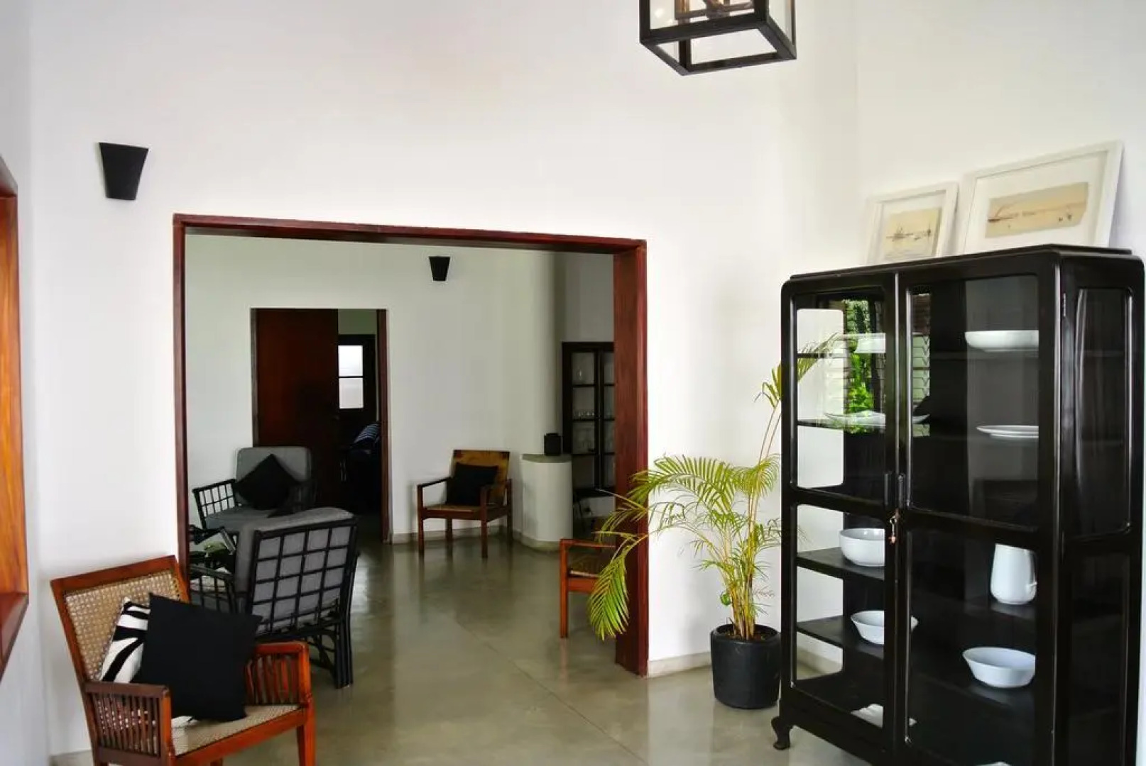 "27" Spathodea- Oasis in the City