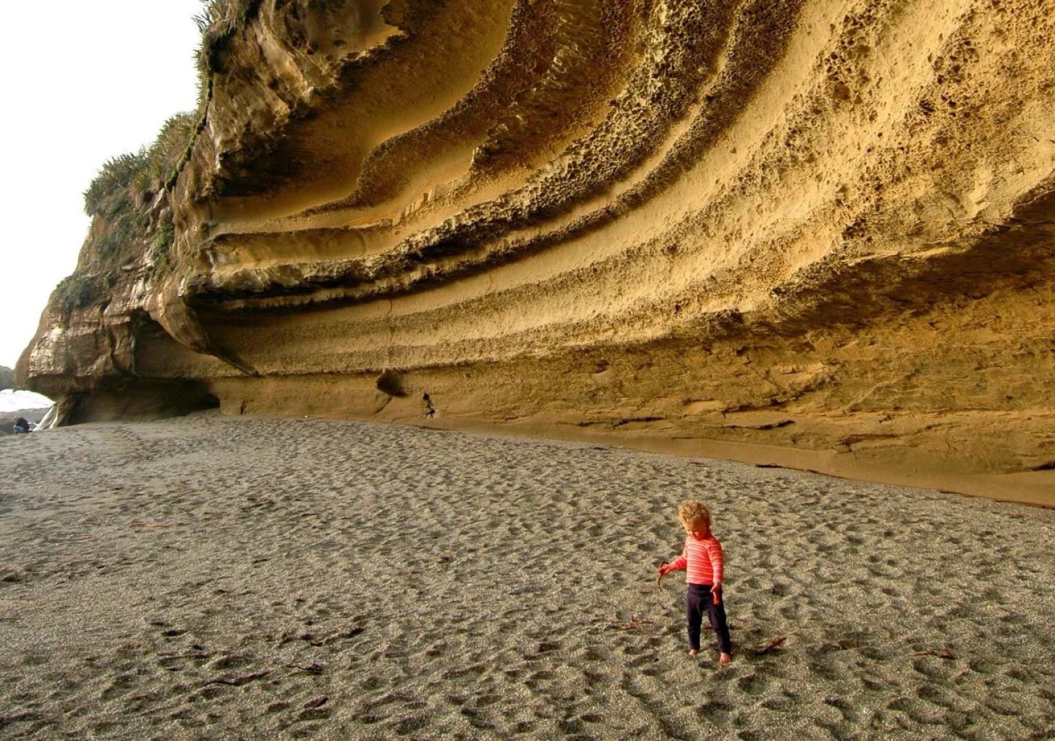 Scenic Hotel Punakaiki