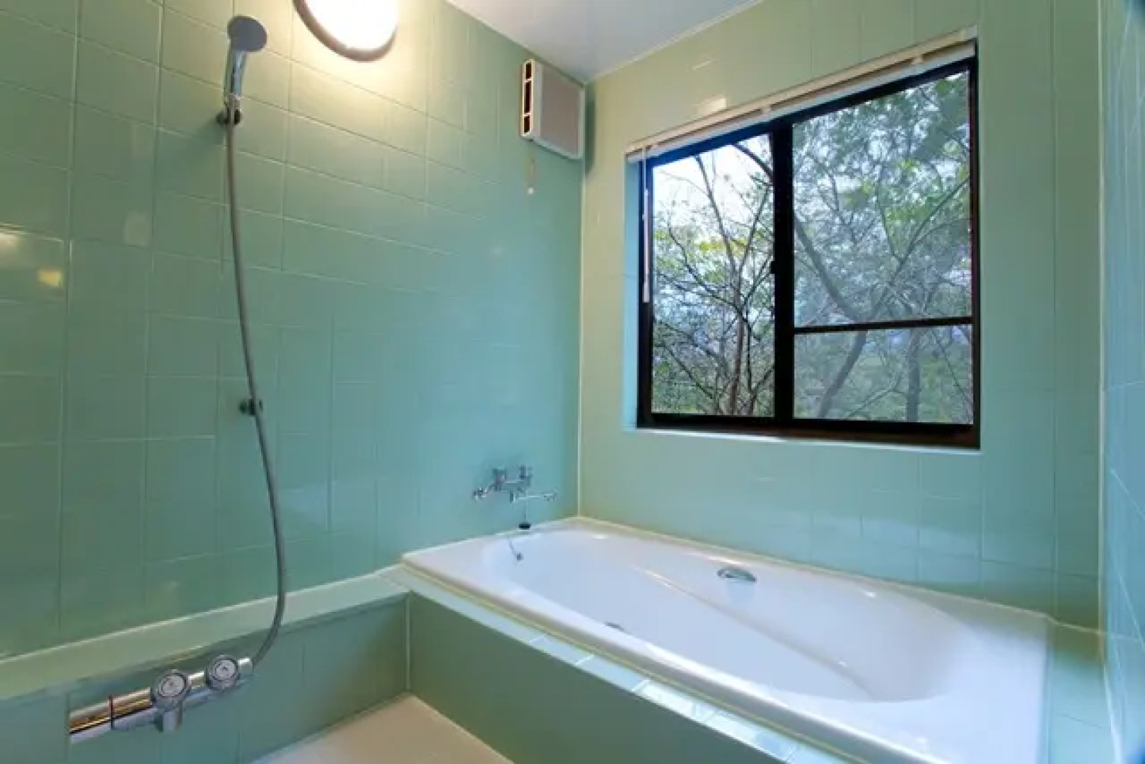 Tabino Teitaku Zao Miyagi Homann Concept