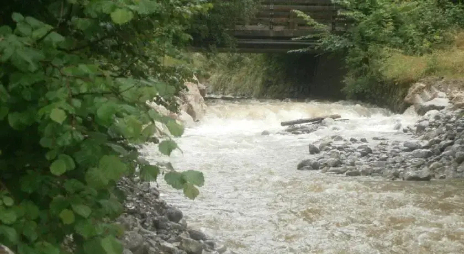 Ferienhaus Wildbachblick