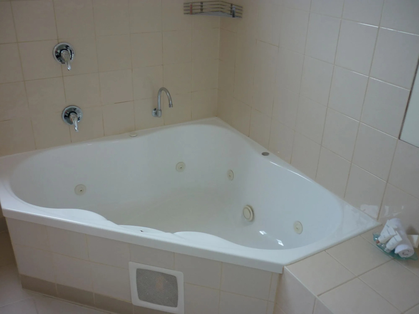 Diamond Island Resort & Penguin viewing