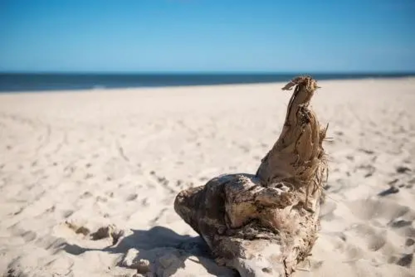 MS Apart Władysławowo