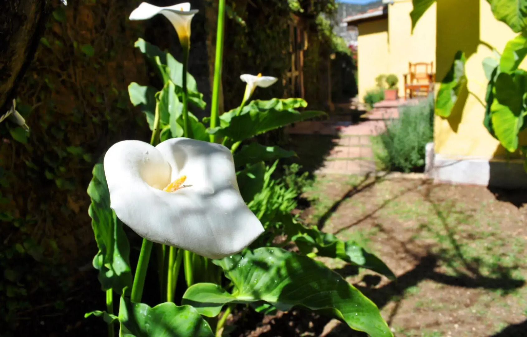 Roberta Bed & Breakfast