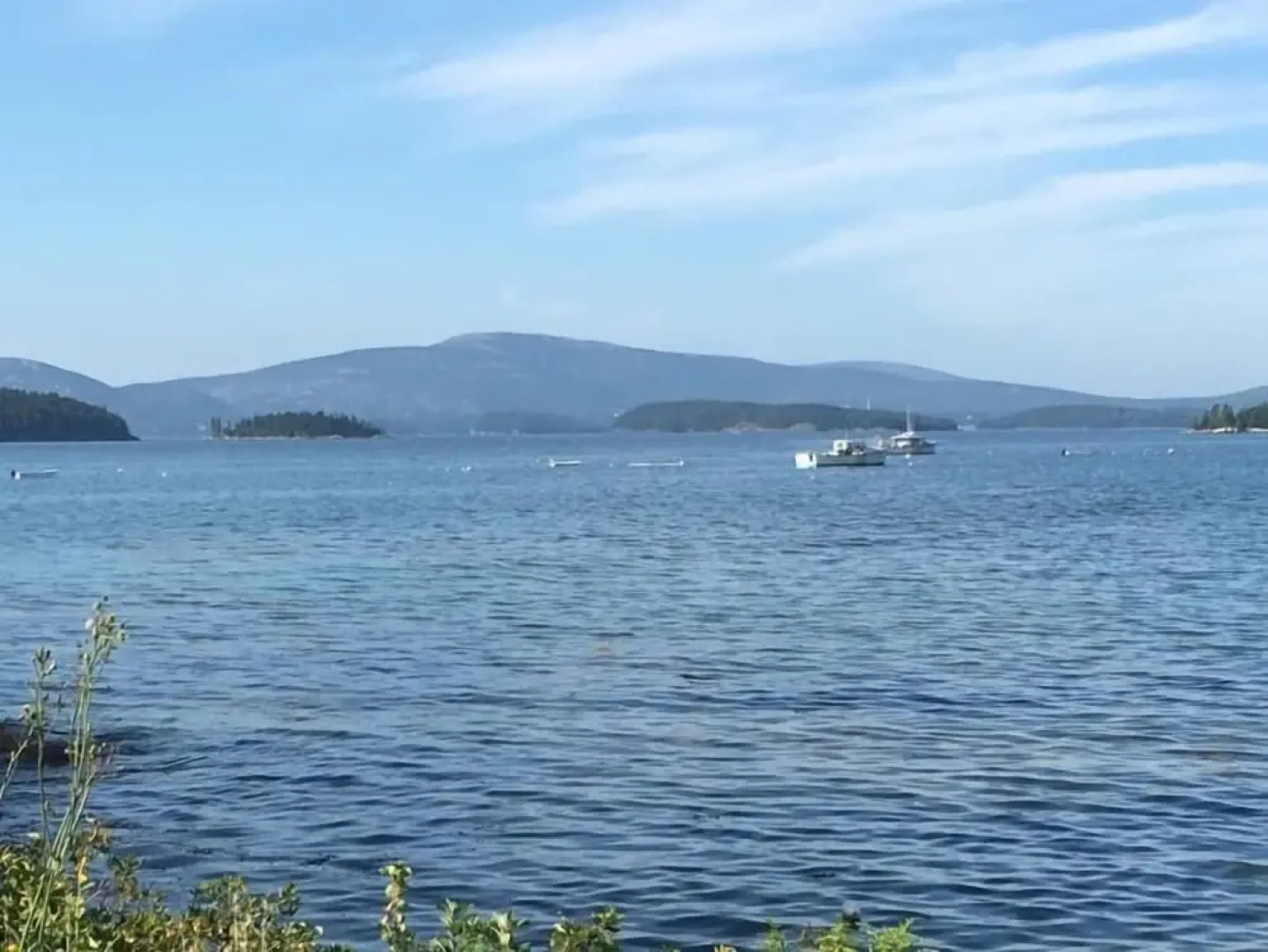 Clamshell By The Sea