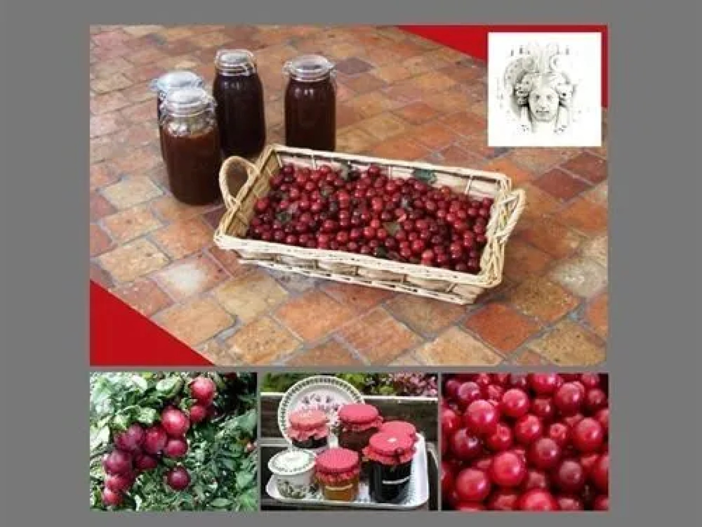 Château de Beaulieu