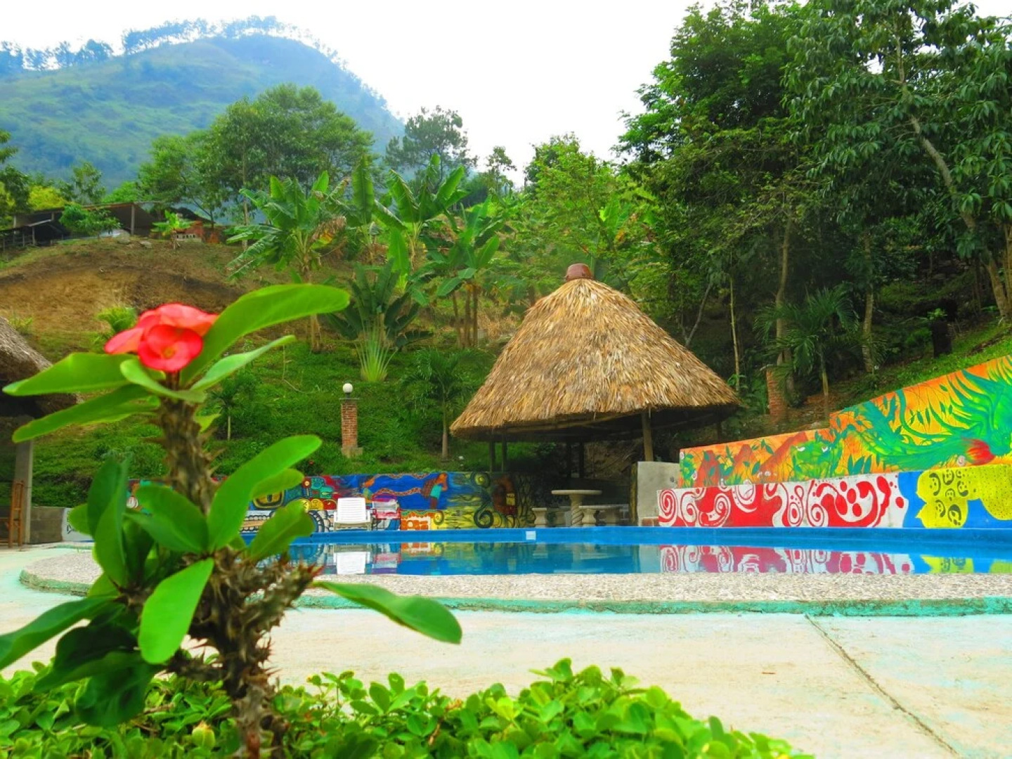 Viñas Hotel - Hostel